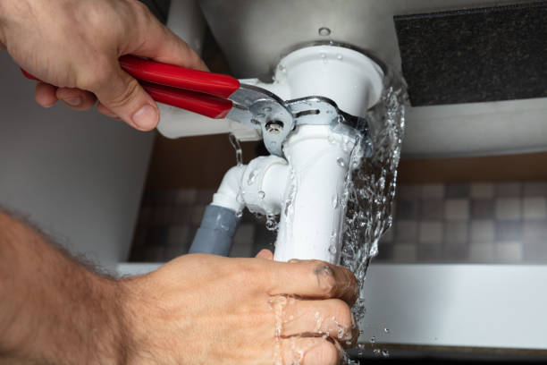 Best Professional water damage repair  in Alexandria, LA