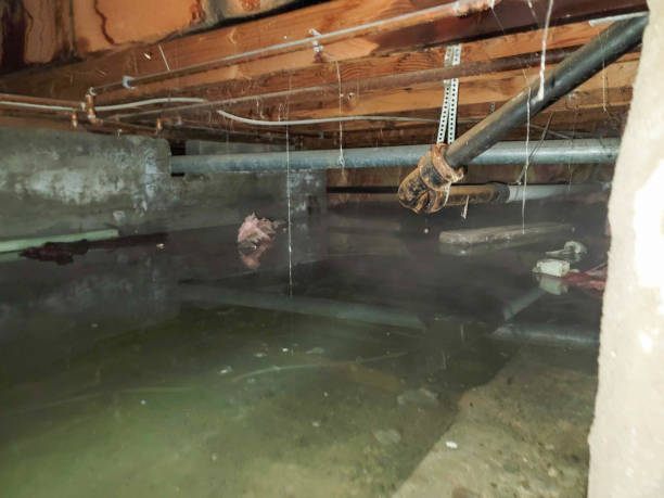 Best Water damage restoration near me  in Alexandria, LA
