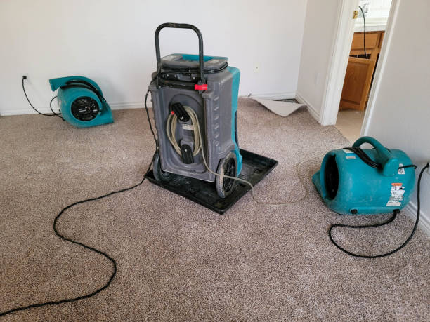  Alexandria, LA Water damage restoration Pros