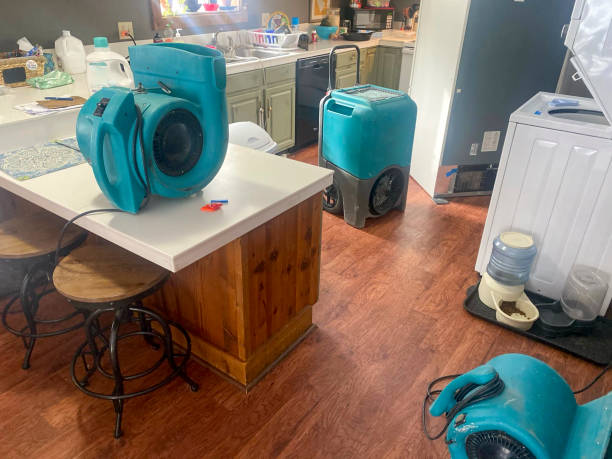 Best 24/7 water damage repair  in Alexandria, LA